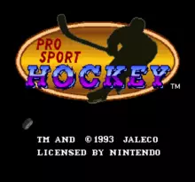 Image n° 1 - screenshots  : Pro Sport Hockey